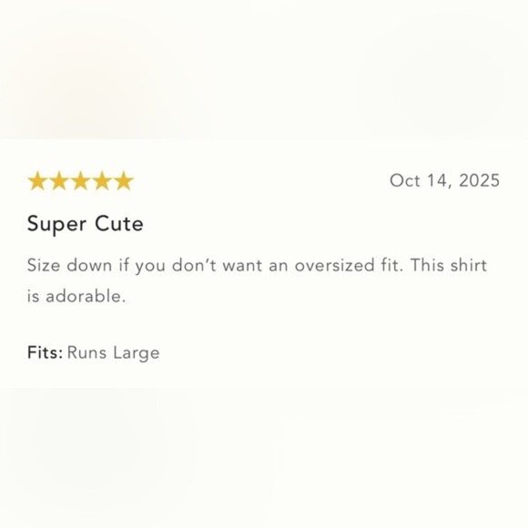 NWT Size XSP - Anthropologie Linen Blend Sardine Embroidered Tee (NWT US$ 98) - Picture 13 of 15